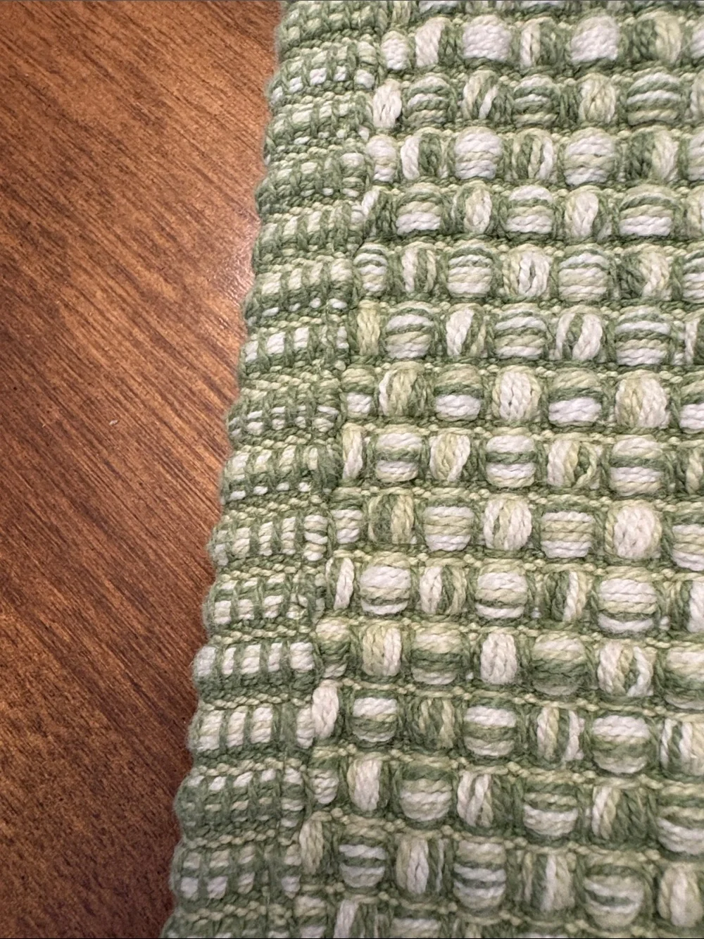 Food Network Green Woven Placemats Set of 2